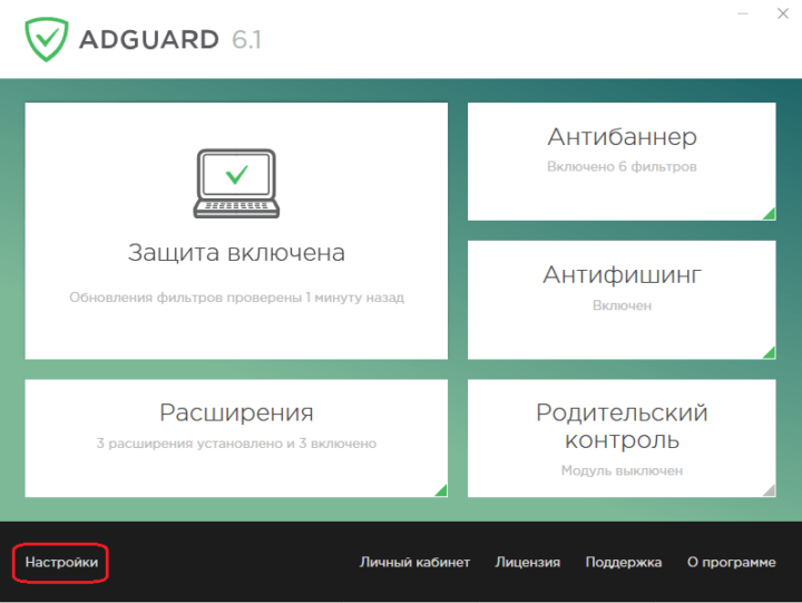 glavnoe-okno-adblock-720x541-9606005