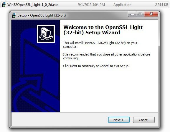 openssl-light-v1-0-2d-1-6118706