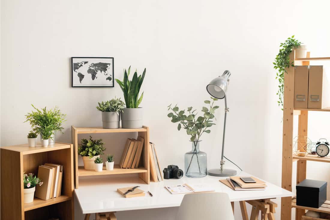 office-workplace-with-desk-with-supplies-wooden-shelves-with-books-and-flowerpots-and-picture-of-map-on-the-wall-adding-accessories-4243790