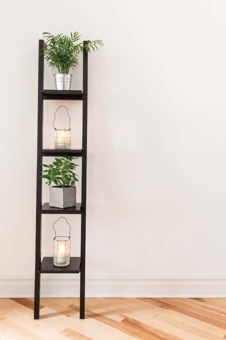 shelf-with-plants-and-lanterns-placing-pots-in-adequate-light-6517354