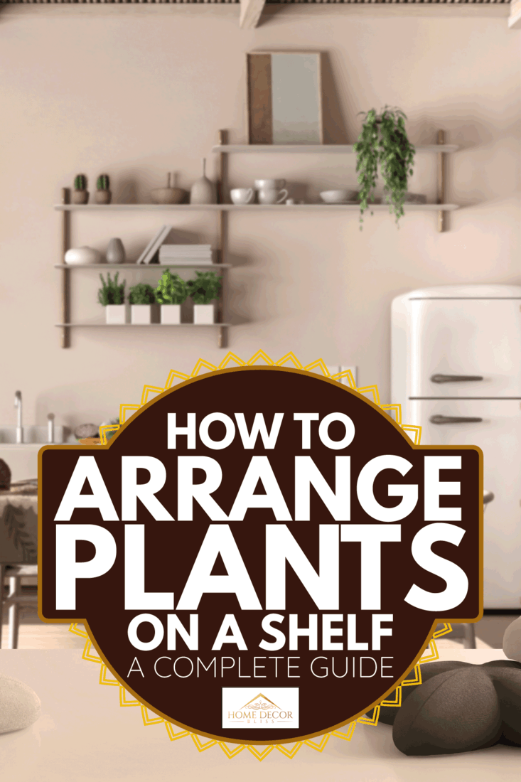 rustic-country-kitchen-dining-table-with-chairs-plants-how-to-arrange-plants-on-a-shelf-a-complete-guide-4743900