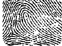 image003-5595777