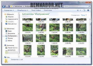 thumbs_example-300x212-6710571