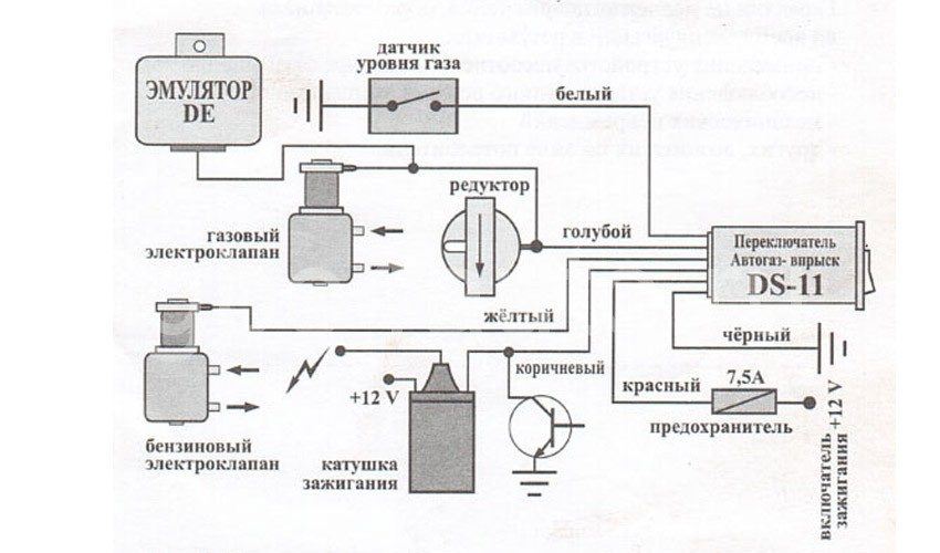 knopka-gbo-2-7235340