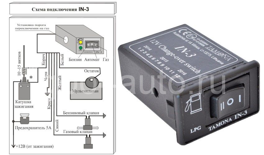 knopka-gbo-3-6284030