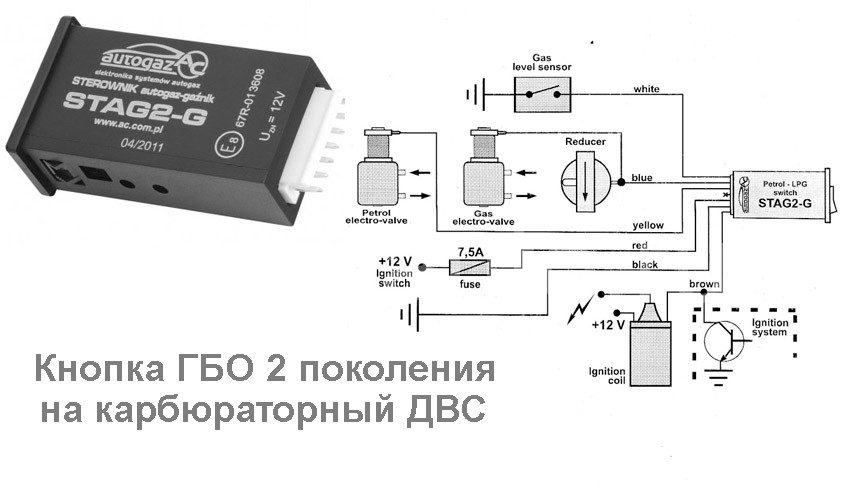 knopka-gbo-5-2056000