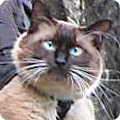 avatar80019_1570548721-7690253