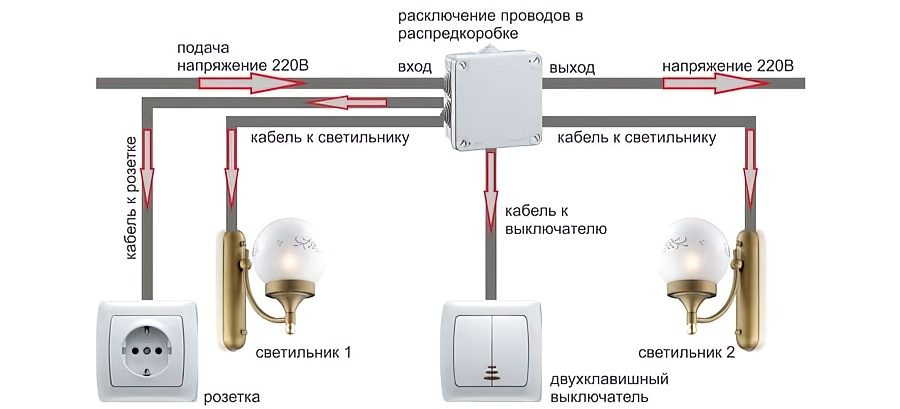 dklavish-7-3245843