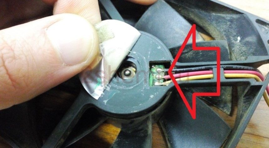 kulera-3-pin-i-4-pin-4-1319868