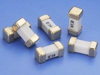 predokhraniteli_smd-99-4219917
