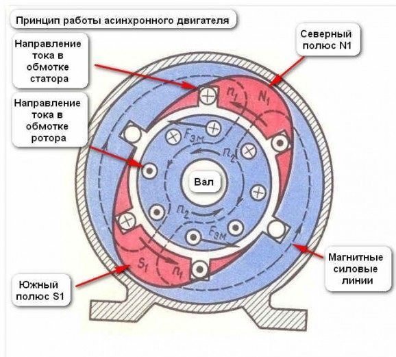 princip-raboti-odnofaznogo-elektrodvigatelya-9316364
