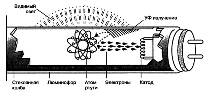 razlichnye-shemy-podklyucheniya-lyuminescentnyh-lamp-pri-pomoschi-elektromagnitnogo-i-elektronnogo-ballastov-2-9715633
