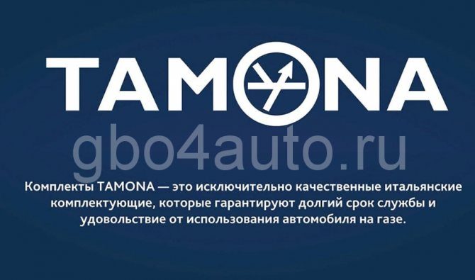 tamona-plyusy-3018924