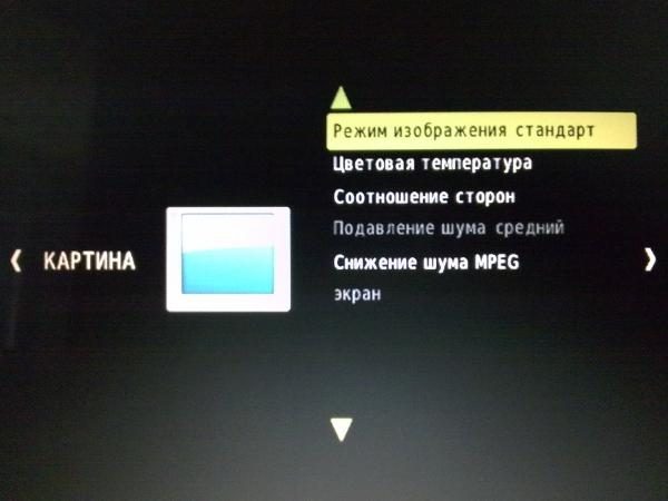 tv97-185-1192545
