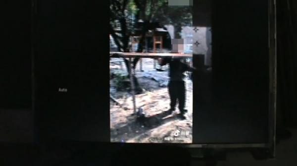 tv97-280-8294377