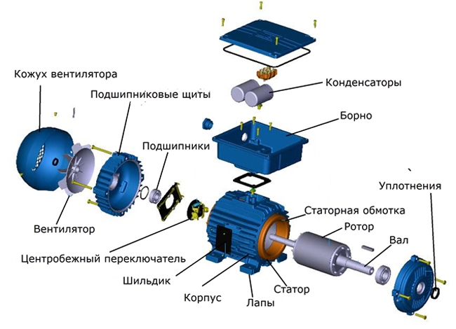 ustroistvo-odnofaznogo-dvigatelya-4636313