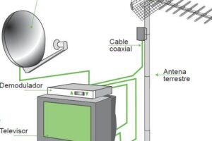 antparab1-300x200-3043836