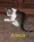 avatar9179_1342025641-6254233