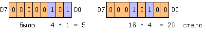 ris53-1-1384338
