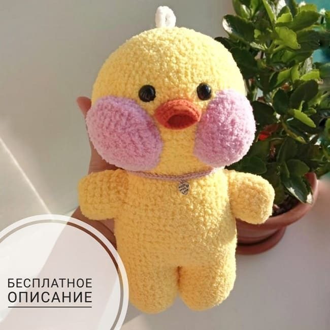 utochka-lui-opisanie-kryuchkom-6230794