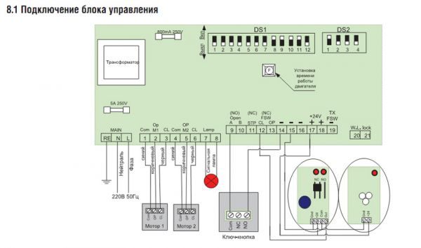 vorota-25-7455674