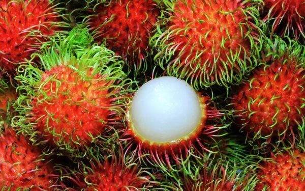 10022-foto-ochisshennyy-rambutan-1232748