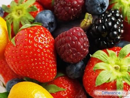 10024-chem-otlichaetsya-frukt-ot-yagody-1624633
