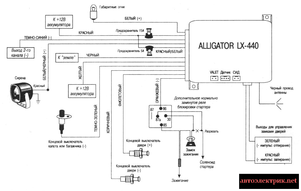 1348337460_alligator-lx440-5018252