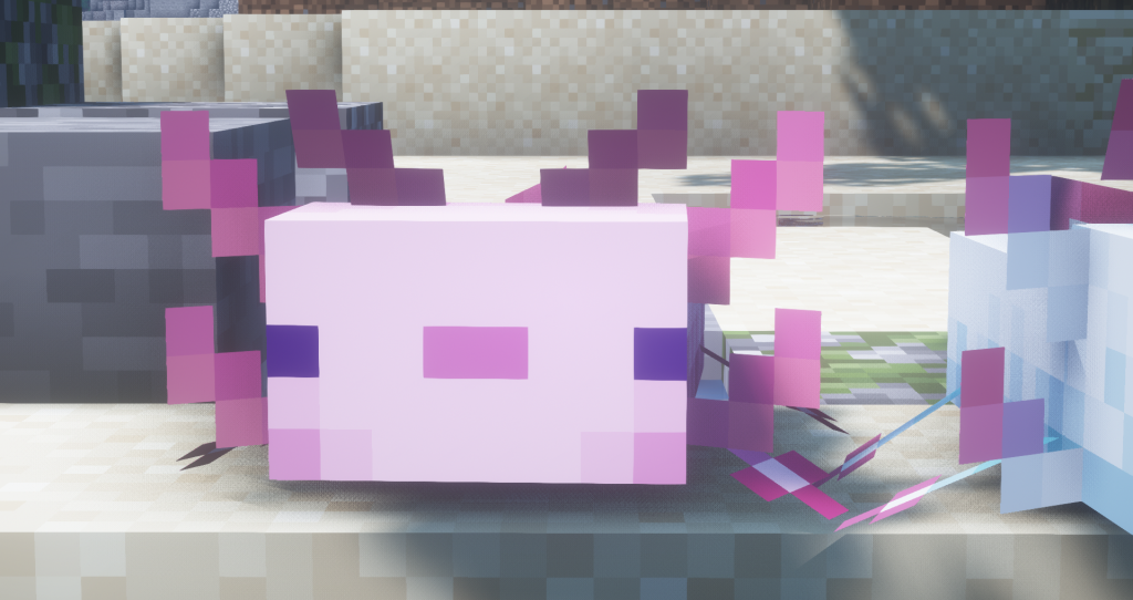 2021-08-17_11-19-00-1024x542-7367780