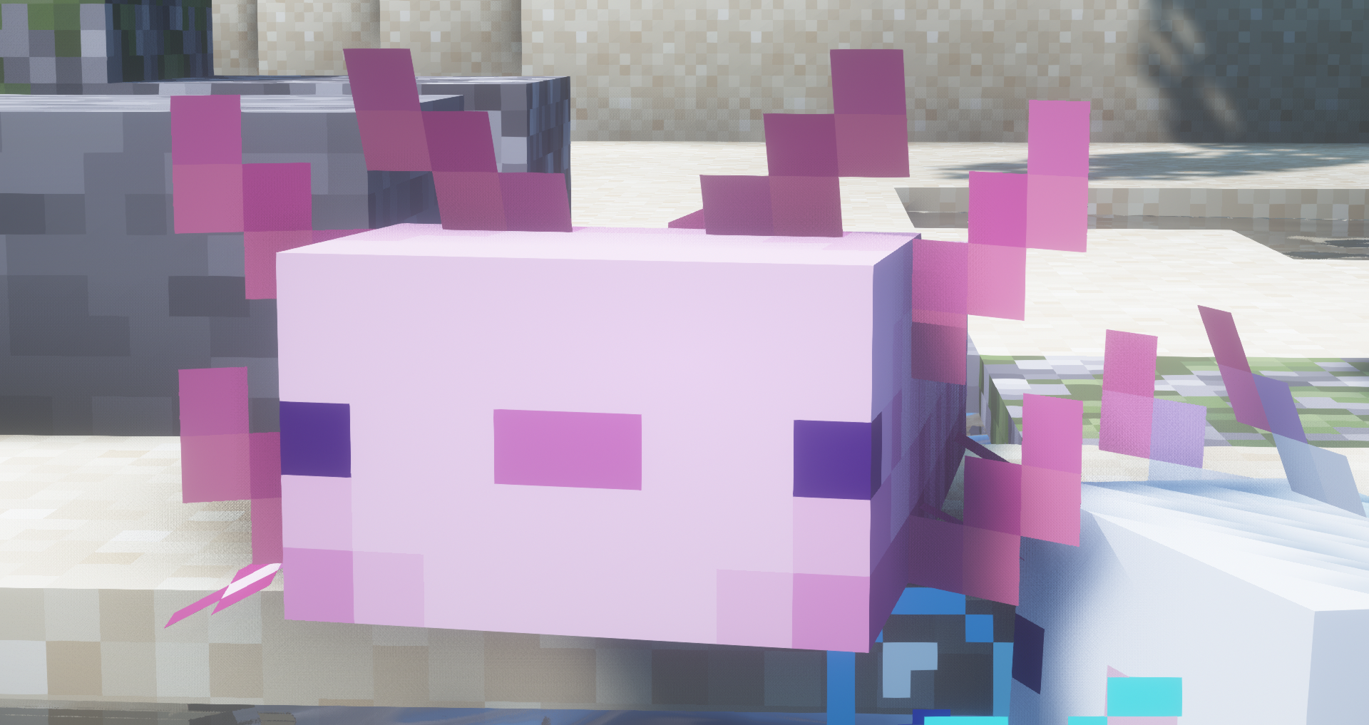 2021-08-17_11-19-02-5147797