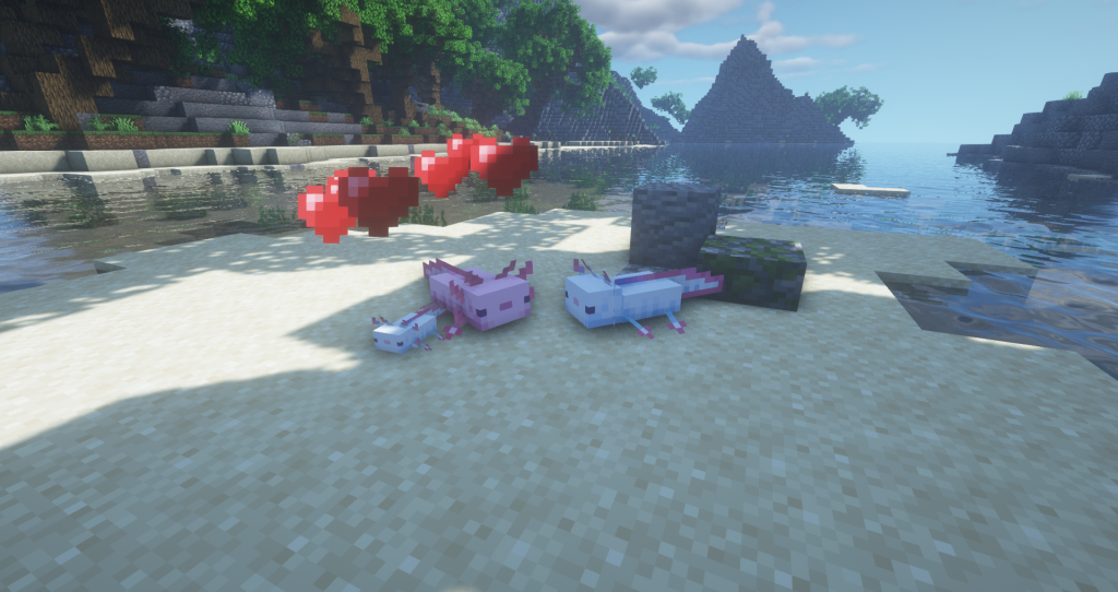 2021-08-17_12-59-40_2-1024x542-8481695