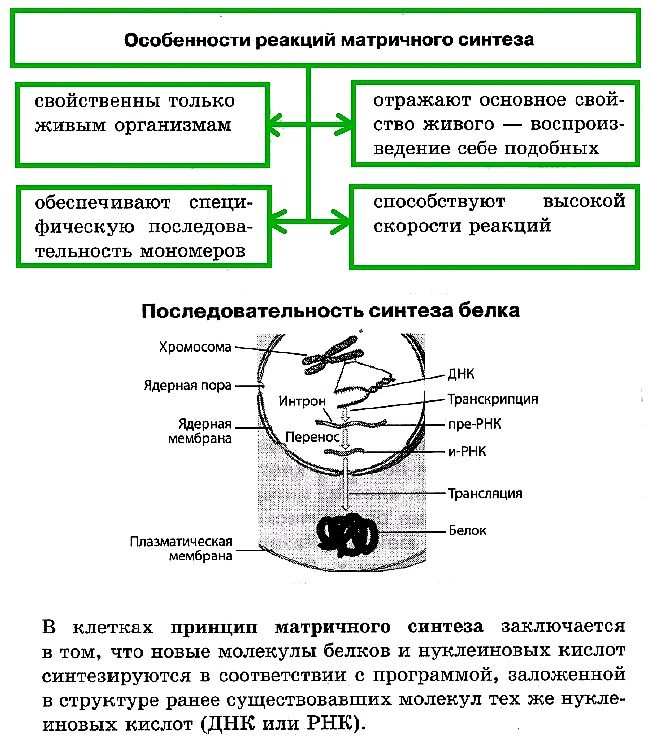d0bcd0b0d182d180d0b8d187d0bdd18bd0b9-d181d0b8d0bdd182d0b5d0b7-2216581