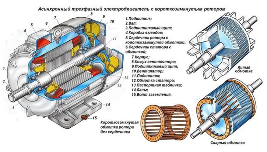 asinkhronnyj-trekhfaznyj-elektrodvigatel-8987830