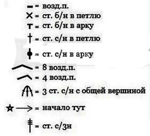 baktus-pauchki-3-5729912