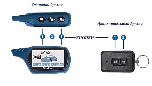 knopki-brelka-starline-6464754