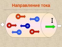 kuda_techet_tok-6-7292261