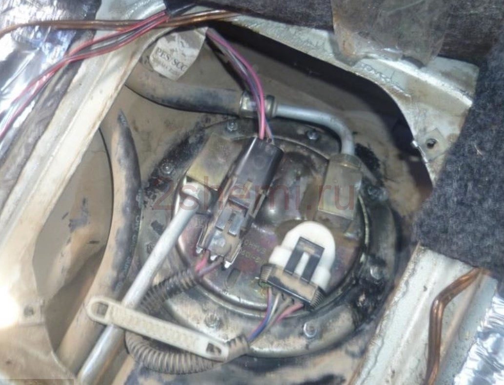 nasos-vaz-4-3775969