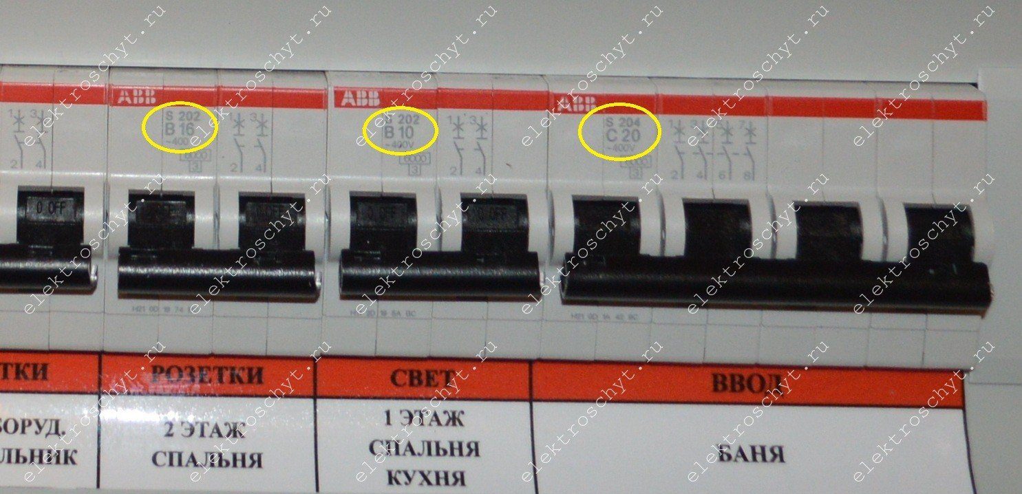 tip-rastsepitelya-9887608