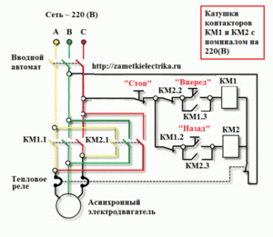 trehfaznyy_asinhronnyy_elektrodvigatel-2327009