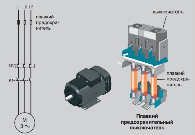 zaschita_elektrodvigatelya-002-3580442